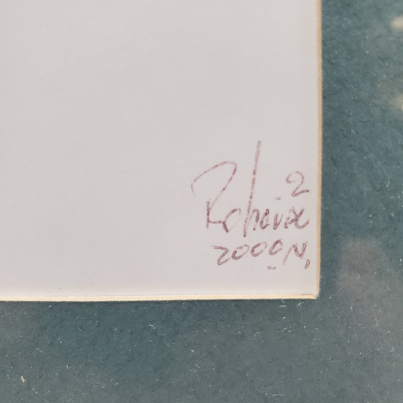 Original Feather Oil Paintings Artist: Roboide 2000 Parrots and Tropical Sunset - Picture 5 of 10